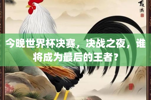 臺(tái)灣問題最新全面解析，最新消息一覽無余