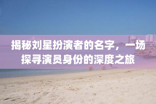 揭秘劉星扮演者的名字，一場(chǎng)探尋演員身份的深度之旅