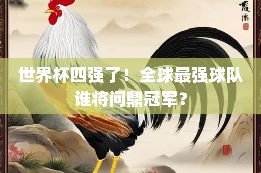 新賓小姐微信號更新，時(shí)尚與生活的新篇章探索