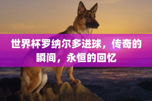 聚合倫理網(wǎng)新址發(fā)布，重塑網(wǎng)絡(luò)倫理，引領(lǐng)價值導(dǎo)向新篇章