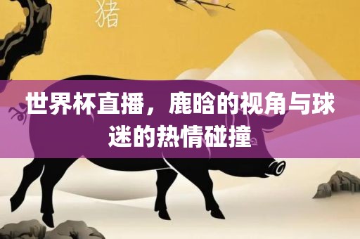 你是我的城池營(yíng)壘演員表及角色深度解析