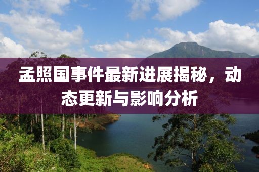 孟照國事件最新進(jìn)展揭秘，動(dòng)態(tài)更新與影響分析