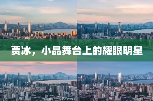 賈冰，小品舞臺上的耀眼明星