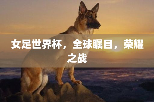 馬蓉與王寶強再度聚焦娛樂圈熱點話題的最新動態(tài)曝光