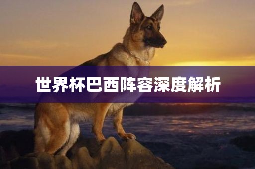 小小帝國破解版，游戲探索與深度解析