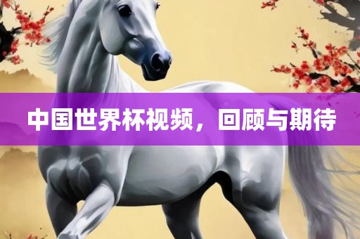 風(fēng)箏電視劇演員表詳解及角色介紹