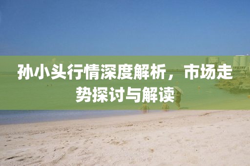 孫小頭行情深度解析，市場走勢探討與解讀