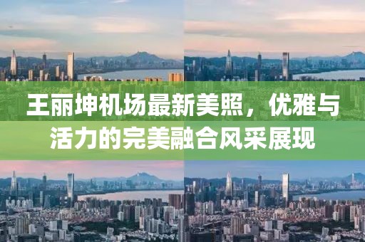 王麗坤機(jī)場(chǎng)最新美照，優(yōu)雅與活力的完美融合風(fēng)采展現(xiàn)