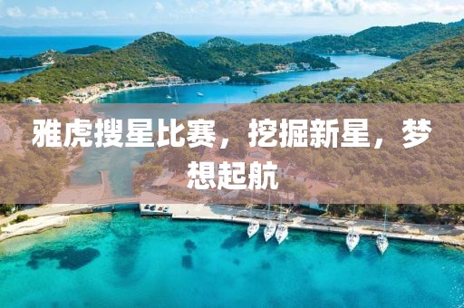 雅虎搜星比賽，挖掘新星，夢想起航