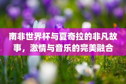 寧波聯(lián)通寬帶最新收費標準概覽