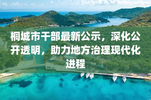 桐城市干部最新公示，深化公開透明，助力地方治理現(xiàn)代化進(jìn)程