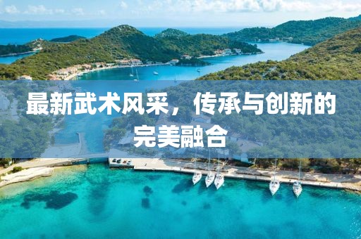 最新武術(shù)風(fēng)采，傳承與創(chuàng)新的完美融合