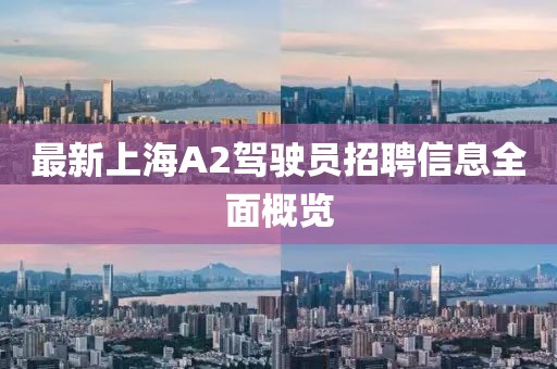 最新上海A2駕駛員招聘信息全面概覽