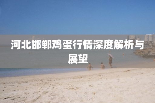 河北邯鄲雞蛋行情深度解析與展望