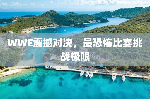 WWE震撼對決，最恐怖比賽挑戰(zhàn)極限
