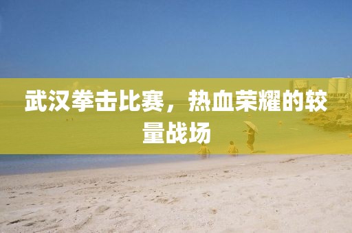 武漢拳擊比賽，熱血榮耀的較量戰(zhàn)場