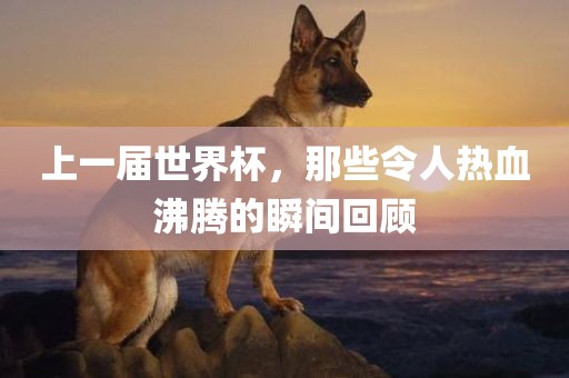 八角擂臺技藝比拼，技藝與精神的巔峰對決