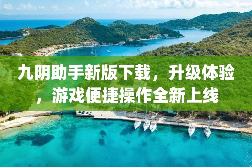 九陰助手新版下載，升級(jí)體驗(yàn)，游戲便捷操作全新上線