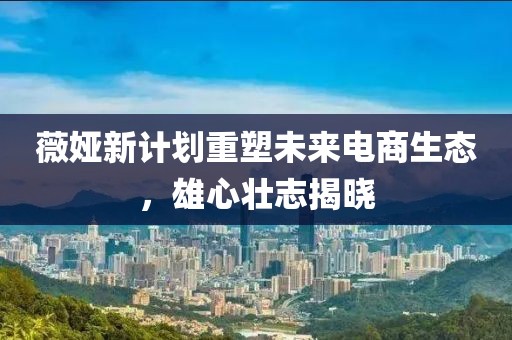 薇婭新計劃重塑未來電商生態(tài)，雄心壯志揭曉