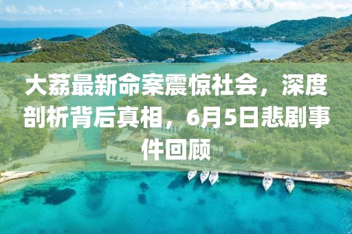 大荔最新命案震驚社會(huì)，深度剖析背后真相，6月5日悲劇事件回顧