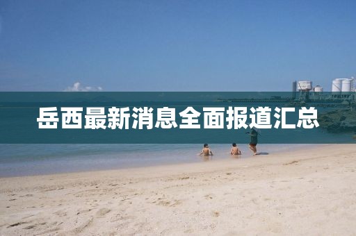 岳西最新消息全面報(bào)道匯總