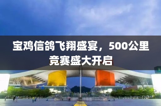 寶雞信鴿飛翔盛宴，500公里競賽盛大開啟