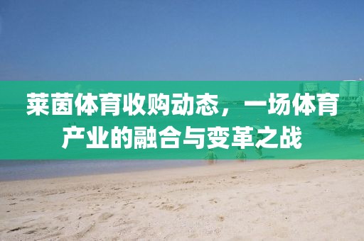 萊茵體育收購動態(tài)，一場體育產(chǎn)業(yè)的融合與變革之戰(zhàn)