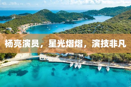 楊亮演員，星光熠熠，演技非凡