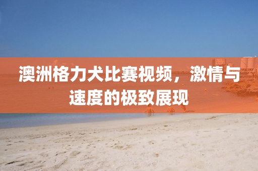 澳洲格力犬比賽視頻，激情與速度的極致展現(xiàn)