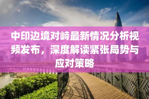 中印邊境對(duì)峙最新情況分析視頻發(fā)布，深度解讀緊張局勢(shì)與應(yīng)對(duì)策略