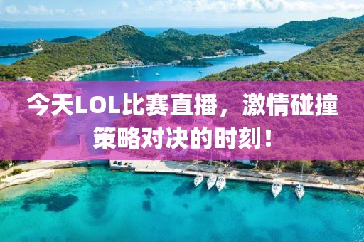 大橙先生 第13頁