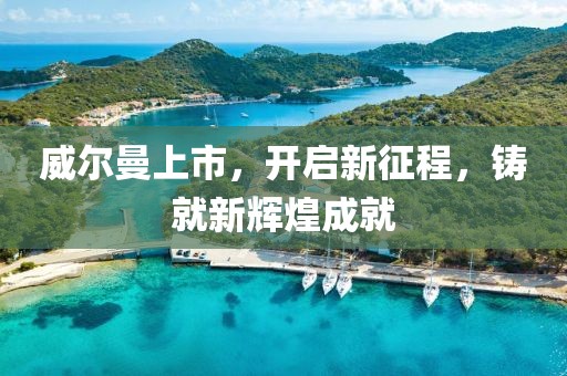 威爾曼上市，開啟新征程，鑄就新輝煌成就