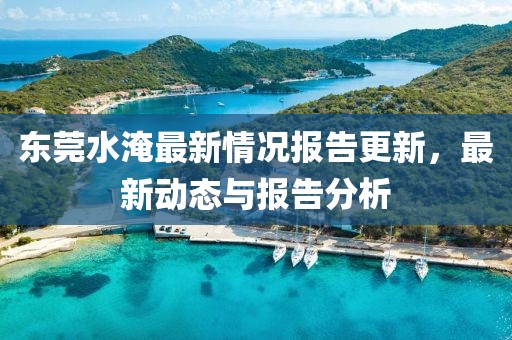 東莞水淹最新情況報告更新，最新動態(tài)與報告分析