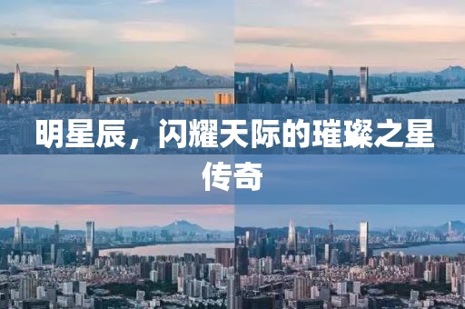 逐漸邁入成熟 第12頁