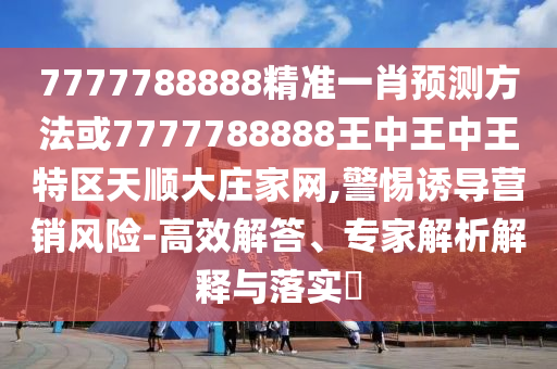 神犬小七電視劇，人與犬的深情厚誼之旅