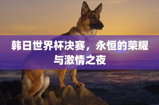 探索卡卡比賽錄像世界，激情、技術(shù)與回憶的交融