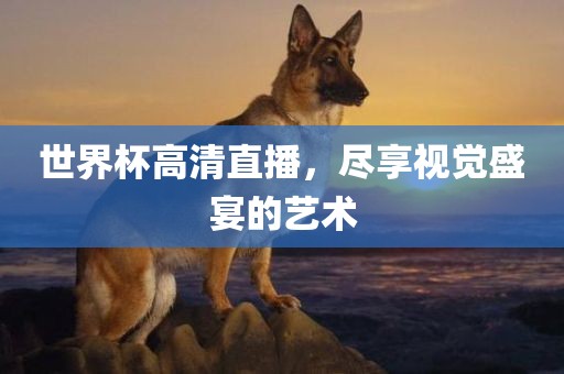 遮天電視劇演員表全解析，華麗演繹背后的強(qiáng)大陣容