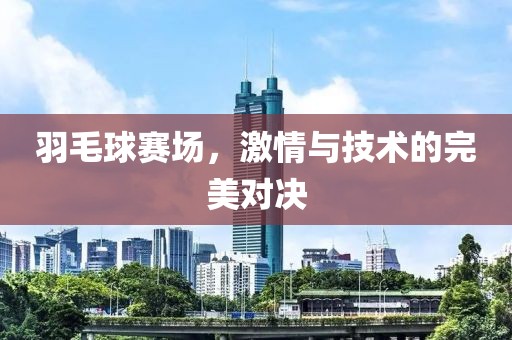 羽毛球賽場，激情與技術(shù)的完美對決