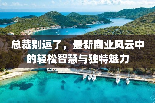總裁別逗了，最新商業(yè)風云中的輕松智慧與獨特魅力