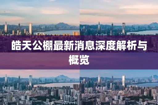 皓天公棚最新消息深度解析與概覽
