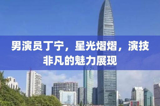 男演員丁寧，星光熠熠，演技非凡的魅力展現(xiàn)