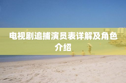 電視劇追捕演員表詳解及角色介紹