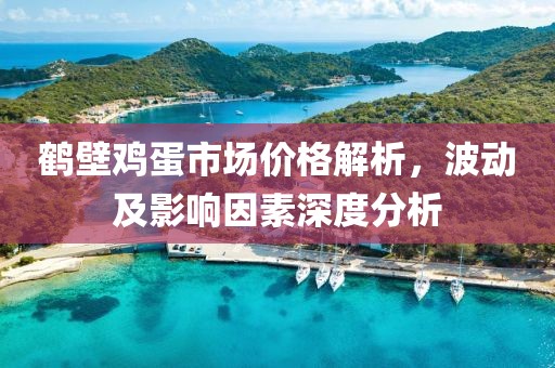 鶴壁雞蛋市場價格解析，波動及影響因素深度分析