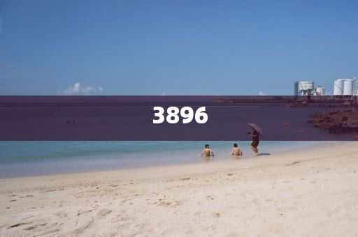 張君龍第十七場比賽，榮耀與挑戰(zhàn)的交匯