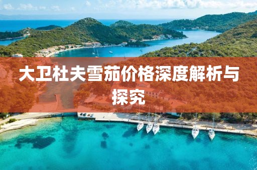 大衛(wèi)杜夫雪茄價格深度解析與探究