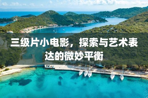 三級(jí)片小電影，探索與藝術(shù)表達(dá)的微妙平衡