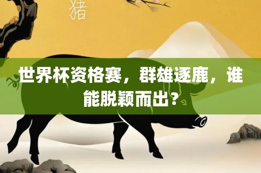 女演員的魅力，演技與氣質(zhì)的完美融合展現(xiàn)無(wú)限風(fēng)采