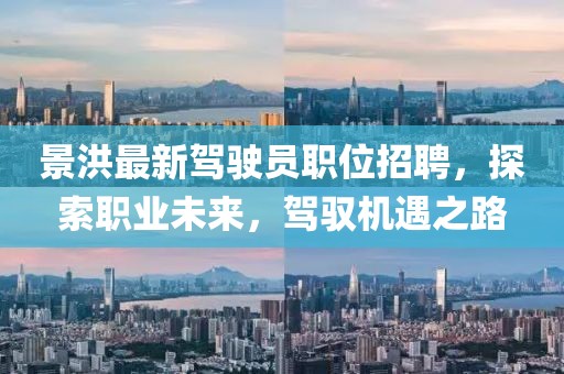 景洪最新駕駛員職位招聘，探索職業(yè)未來，駕馭機遇之路