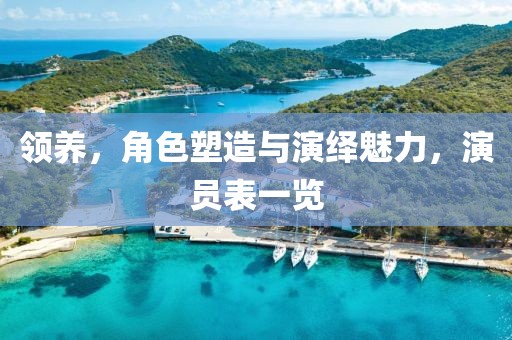 領(lǐng)養(yǎng)，角色塑造與演繹魅力，演員表一覽