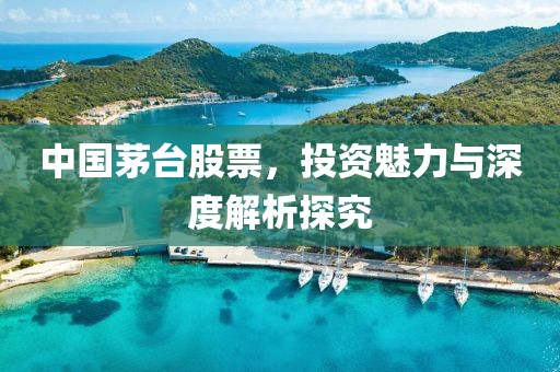 中國茅臺股票，投資魅力與深度解析探究